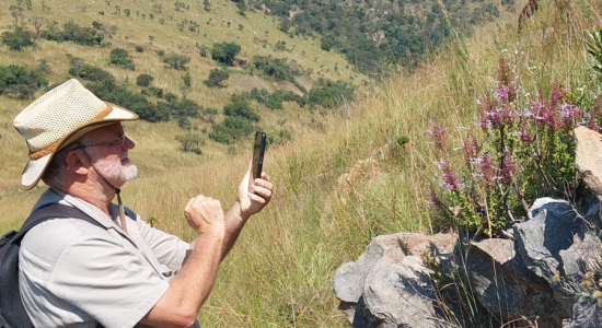 Kevin Balkwill photograping Thorncroftia longiflora on Mountainlands