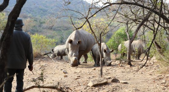 Spirit Wildlife Family July 2024